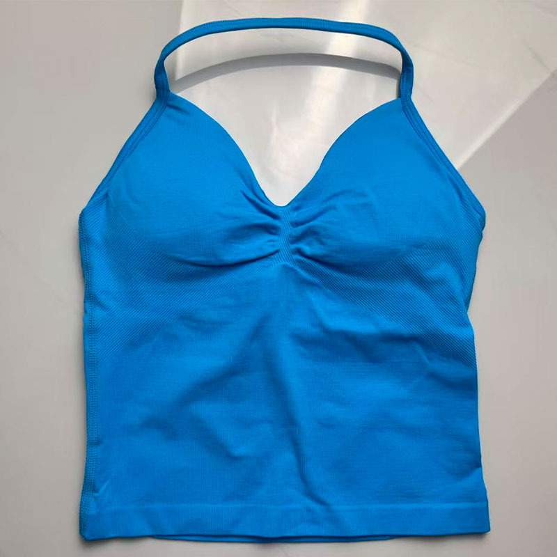 Dames Yoga Sportbeha Naadloze  - T Shirt Bra Seamless recensie en prijs